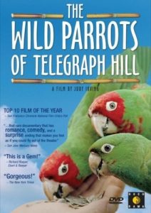 ดูหนังออนไลน์ the Wild Parrots of Telegraph Hill